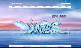 瑞琦仕控股集团网站建设